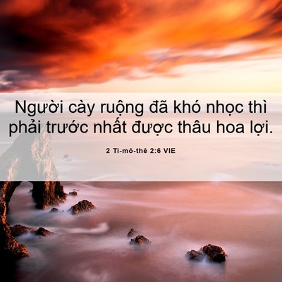 Picture 06 - 2 Ti-mô-thê 2:6 VIE - Người cày ruộng đã khó nhọc thì - Bible Verse Picture