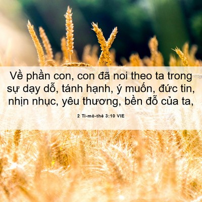 Picture 06 - 2 Ti-mô-thê 3:10 VIE - Về phần con, con đã noi theo ta trong sự - Bible Verse Picture