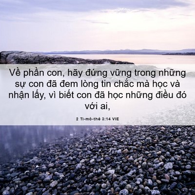 Picture 06 - 2 Ti-mô-thê 3:14 VIE - Về phần con, hãy đứng vững trong - Bible Verse Picture