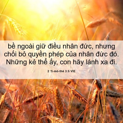 Picture 06 - 2 Ti-mô-thê 3:5 VIE - bề ngoài giữ điều nhân đức, nhưng - Bible Verse Picture