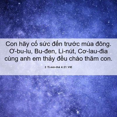 Picture 06 - 2 Ti-mô-thê 4:21 VIE - Con hãy cố sức đến trước mùa đông. - Bible Verse Picture