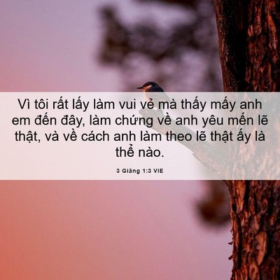 Picture 06 - 3 Giăng 1:3 VIE - Vì tôi rất lấy làm vui vẻ mà thấy - Bible Verse Picture