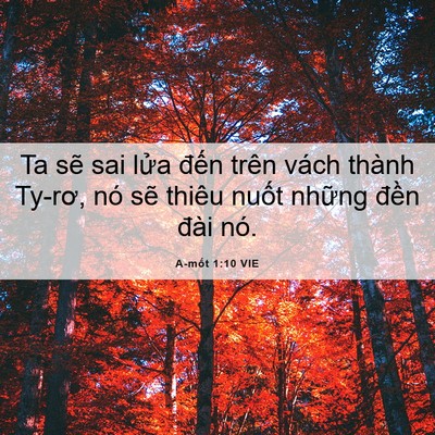 Picture 06 - A-mốt 1:10 VIE - Ta sẽ sai lửa đến trên vách thành - Bible Verse Picture
