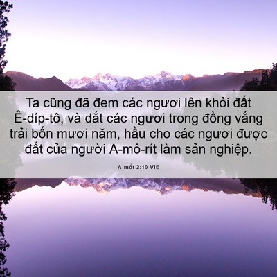 Picture 06 - A-mốt 2:10 VIE - Ta cũng đã đem các ngươi lên khỏi - Bible Verse Picture