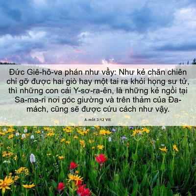 Picture 06 - A-mốt 3:12 VIE - Đức Giê-hô-va phán như vầy: Như kẻ - Bible Verse Picture
