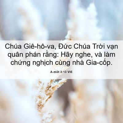 Picture 06 - A-mốt 3:13 VIE - Chúa Giê-hô-va, Đức Chúa Trời vạn - Bible Verse Picture