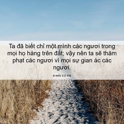 Picture 06 - A-mốt 3:2 VIE - Ta đã biết chỉ một mình các ngươi - Bible Verse Picture