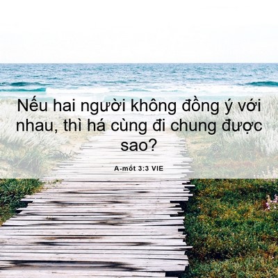 Picture 06 - A-mốt 3:3 VIE - Nếu hai người không đồng ý với nhau, - Bible Verse Picture
