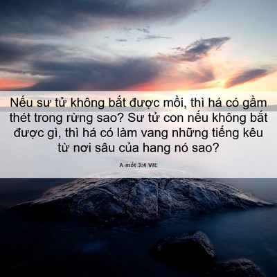 Picture 06 - A-mốt 3:4 VIE - Nếu sư tử không bắt được mồi, thì - Bible Verse Picture