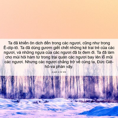 Picture 06 - A-mốt 4:10 VIE - Ta đã khiến ôn dịch đến trong các - Bible Verse Picture