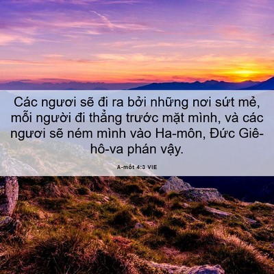 Picture 06 - A-mốt 4:3 VIE - Các ngươi sẽ đi ra bởi những nơi sứt - Bible Verse Picture