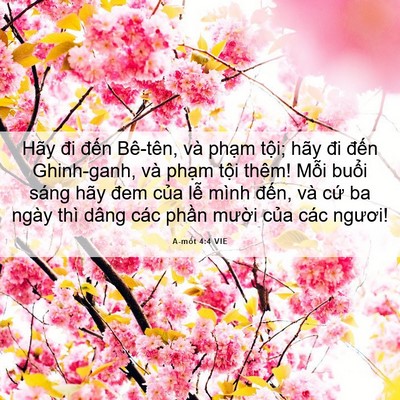 Picture 06 - A-mốt 4:4 VIE - Hãy đi đến Bê-tên, và phạm tội; hãy - Bible Verse Picture