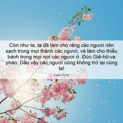 Picture 06 - A-mốt 4:6 VIE - Còn như ta, ta đã làm cho răng các ngươi - Bible Verse Picture