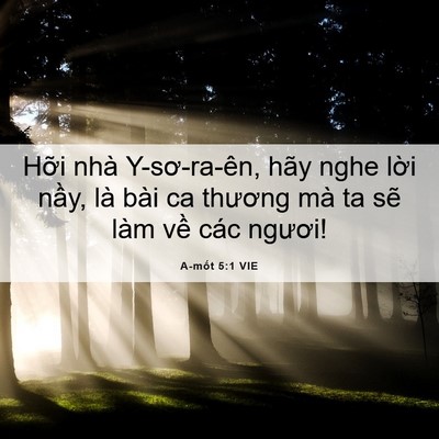 Picture 06 - A-mốt 5:1 VIE - Hỡi nhà Y-sơ-ra-ên, hãy nghe lời nầy, - Bible Verse Picture