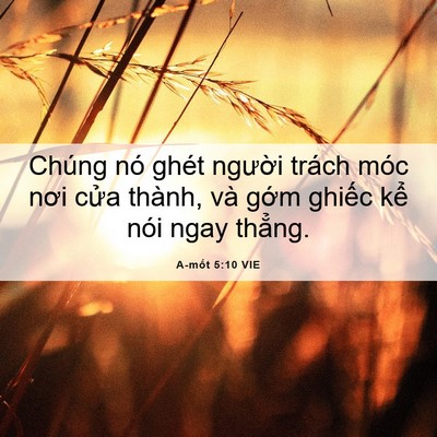 Picture 06 - A-mốt 5:10 VIE - Chúng nó ghét người trách móc nơi cửa - Bible Verse Picture