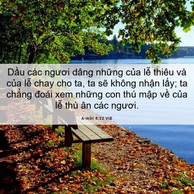 Picture 06 - A-mốt 5:22 VIE - Dầu các ngươi dâng những của lễ - Bible Verse Picture