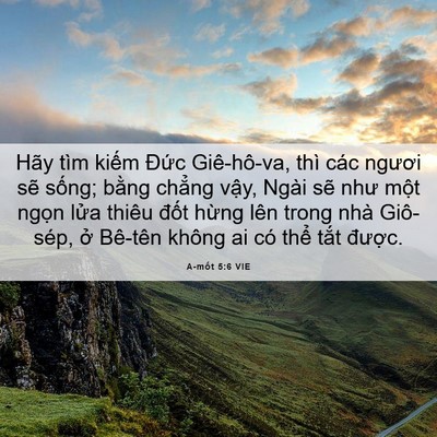 Picture 06 - A-mốt 5:6 VIE - Hãy tìm kiếm Đức Giê-hô-va, thì các - Bible Verse Picture