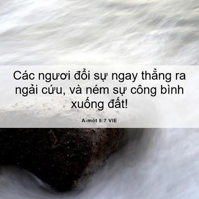 Picture 06 - A-mốt 5:7 VIE - Các ngươi đổi sự ngay thẳng ra ngải - Bible Verse Picture