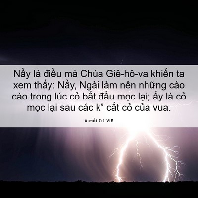 Picture 06 - A-mốt 7:1 VIE - Nầy là điều mà Chúa Giê-hô-va khiến - Bible Verse Picture