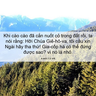 Picture 06 - A-mốt 7:2 VIE - Khi cào cào đã cắn nuốt cỏ trong đất - Bible Verse Picture