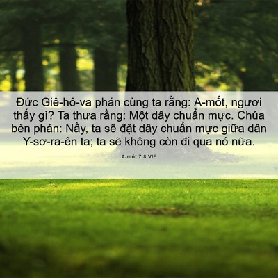 Picture 06 - A-mốt 7:8 VIE - Đức Giê-hô-va phán cùng ta rằng: - Bible Verse Picture