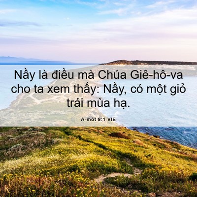 Picture 06 - A-mốt 8:1 VIE - Nầy là điều mà Chúa Giê-hô-va cho ta - Bible Verse Picture