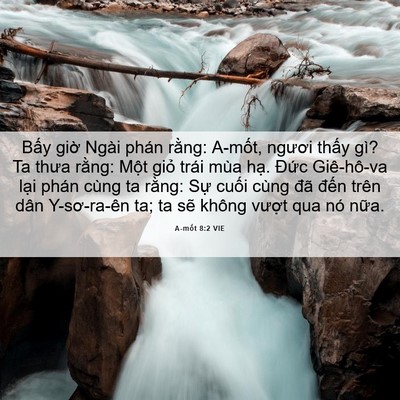Picture 06 - A-mốt 8:2 VIE - Bấy giờ Ngài phán rằng: A-mốt, ngươi - Bible Verse Picture