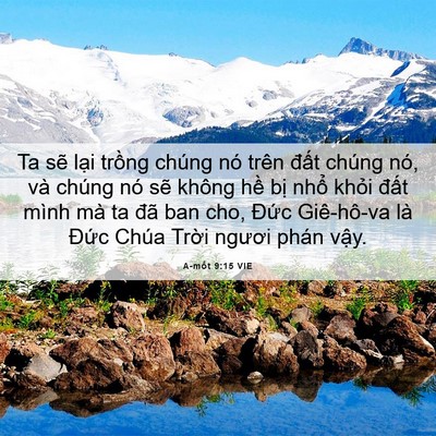 Picture 06 - A-mốt 9:15 VIE - Ta sẽ lại trồng chúng nó trên đất - Bible Verse Picture