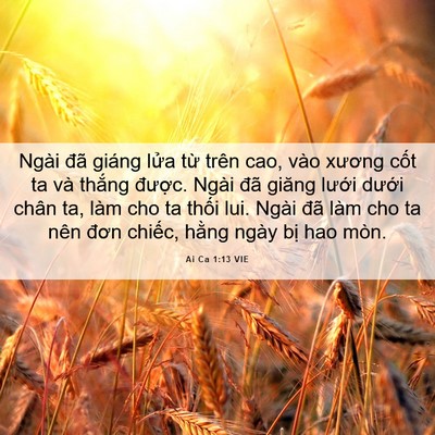 Picture 06 - Ai Ca 1:13 VIE - Ngài đã giáng lửa từ trên cao, vào - Bible Verse Picture