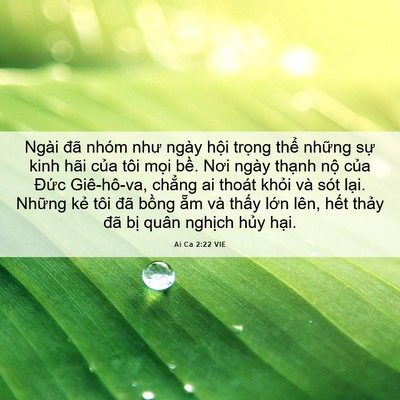 Picture 06 - Ai Ca 2:22 VIE - Ngài đã nhóm như ngày hội trọng thể - Bible Verse Picture