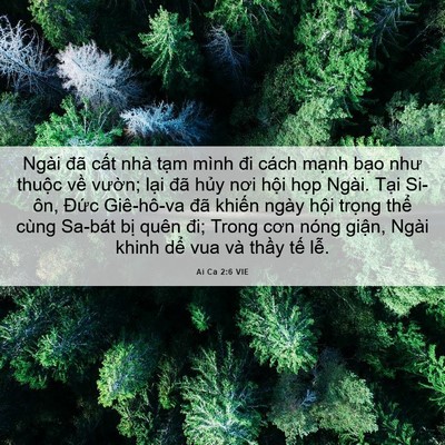 Picture 06 - Ai Ca 2:6 VIE - Ngài đã cất nhà tạm mình đi cách - Bible Verse Picture