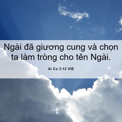Picture 06 - Ai Ca 3:12 VIE - Ngài đã giương cung và chọn ta làm - Bible Verse Picture