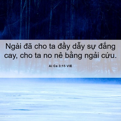 Picture 06 - Ai Ca 3:15 VIE - Ngài đã cho ta đầy dẫy sự đắng cay, - Bible Verse Picture