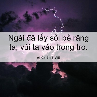 Picture 06 - Ai Ca 3:16 VIE - Ngài đã lấy sỏi bẻ răng ta; vùi ta - Bible Verse Picture