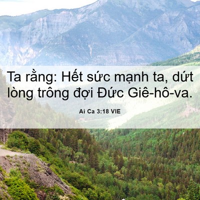 Picture 06 - Ai Ca 3:18 VIE - Ta rằng: Hết sức mạnh ta, dứt lòng - Bible Verse Picture