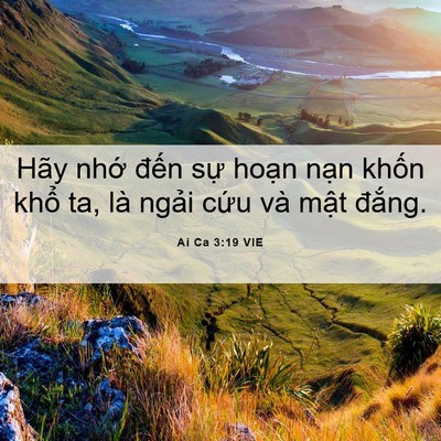 Picture 06 - Ai Ca 3:19 VIE - Hãy nhớ đến sự hoạn nạn khốn khổ - Bible Verse Picture