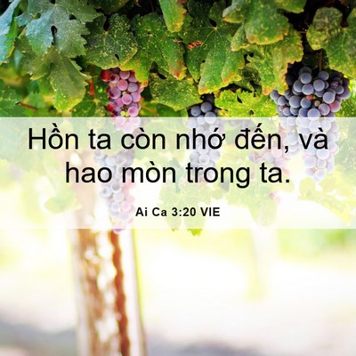 Picture 06 - Ai Ca 3:20 VIE - Hồn ta còn nhớ đến, và hao mòn trong - Bible Verse Picture