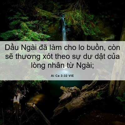 Picture 06 - Ai Ca 3:32 VIE - Dầu Ngài đã làm cho lo buồn, còn sẽ - Bible Verse Picture