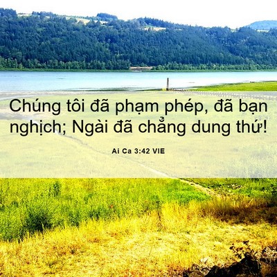 Picture 06 - Ai Ca 3:42 VIE - Chúng tôi đã phạm phép, đã bạn - Bible Verse Picture