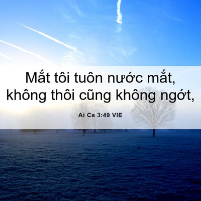Picture 06 - Ai Ca 3:49 VIE - Mắt tôi tuôn nước mắt, không thôi - Bible Verse Picture