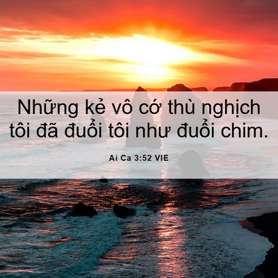 Picture 06 - Ai Ca 3:52 VIE - Những kẻ vô cớ thù nghịch tôi đã - Bible Verse Picture