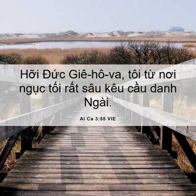 Picture 06 - Ai Ca 3:55 VIE - Hỡi Đức Giê-hô-va, tôi từ nơi ngục - Bible Verse Picture