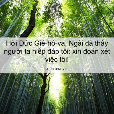 Picture 06 - Ai Ca 3:59 VIE - Hỡi Đức Giê-hô-va, Ngài đã thấy - Bible Verse Picture