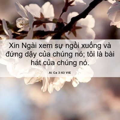 Picture 06 - Ai Ca 3:63 VIE - Xin Ngài xem sự ngồi xuống và đứng - Bible Verse Picture