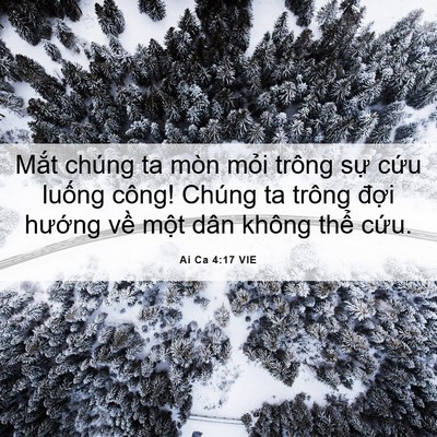Picture 06 - Ai Ca 4:17 VIE - Mắt chúng ta mòn mỏi trông sự cứu - Bible Verse Picture