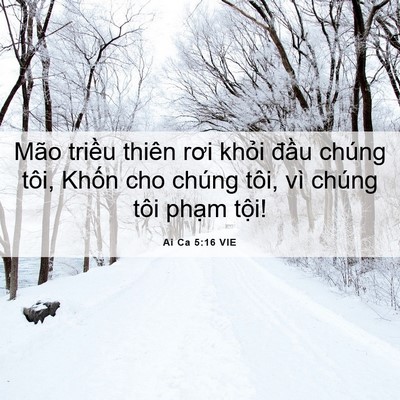 Picture 06 - Ai Ca 5:16 VIE - Mão triều thiên rơi khỏi đầu chúng - Bible Verse Picture