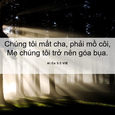 Picture 06 - Ai Ca 5:3 VIE - Chúng tôi mất cha, phải mồ côi, Mẹ - Bible Verse Picture