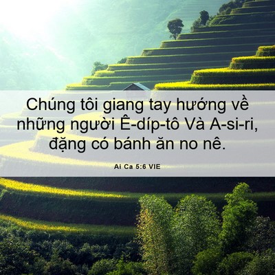 Picture 06 - Ai Ca 5:6 VIE - Chúng tôi giang tay hướng về những - Bible Verse Picture