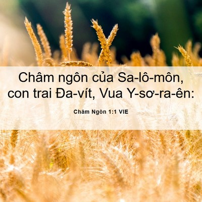 Picture 06 - Châm Ngôn 1:1 VIE - Châm ngôn của Sa-lô-môn, con trai Đa-vít, - Bible Verse Picture
