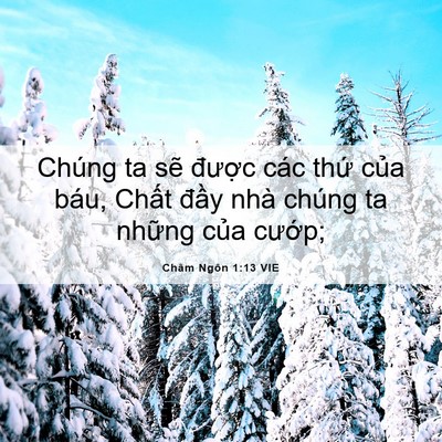 Picture 06 - Châm Ngôn 1:13 VIE - Chúng ta sẽ được các thứ của báu, - Bible Verse Picture